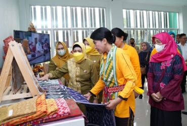 kerajinan khas pontianak