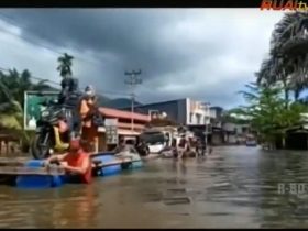 jalan trans Kalimantan