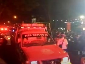 kebakaran gg kasuari