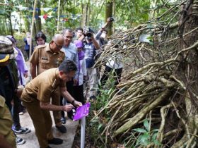 Arboretum Sylva Untan