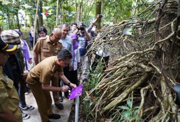 Arboretum Sylva Untan