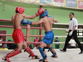 kick boxing kalbar