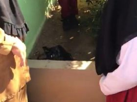 penemuan bayi