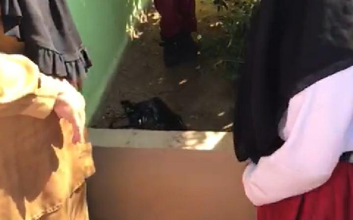 penemuan bayi