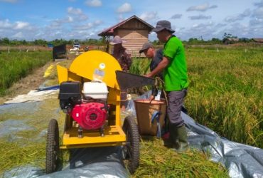 cara meningkatkan panen padi