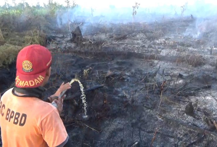 kebakaran gambut
