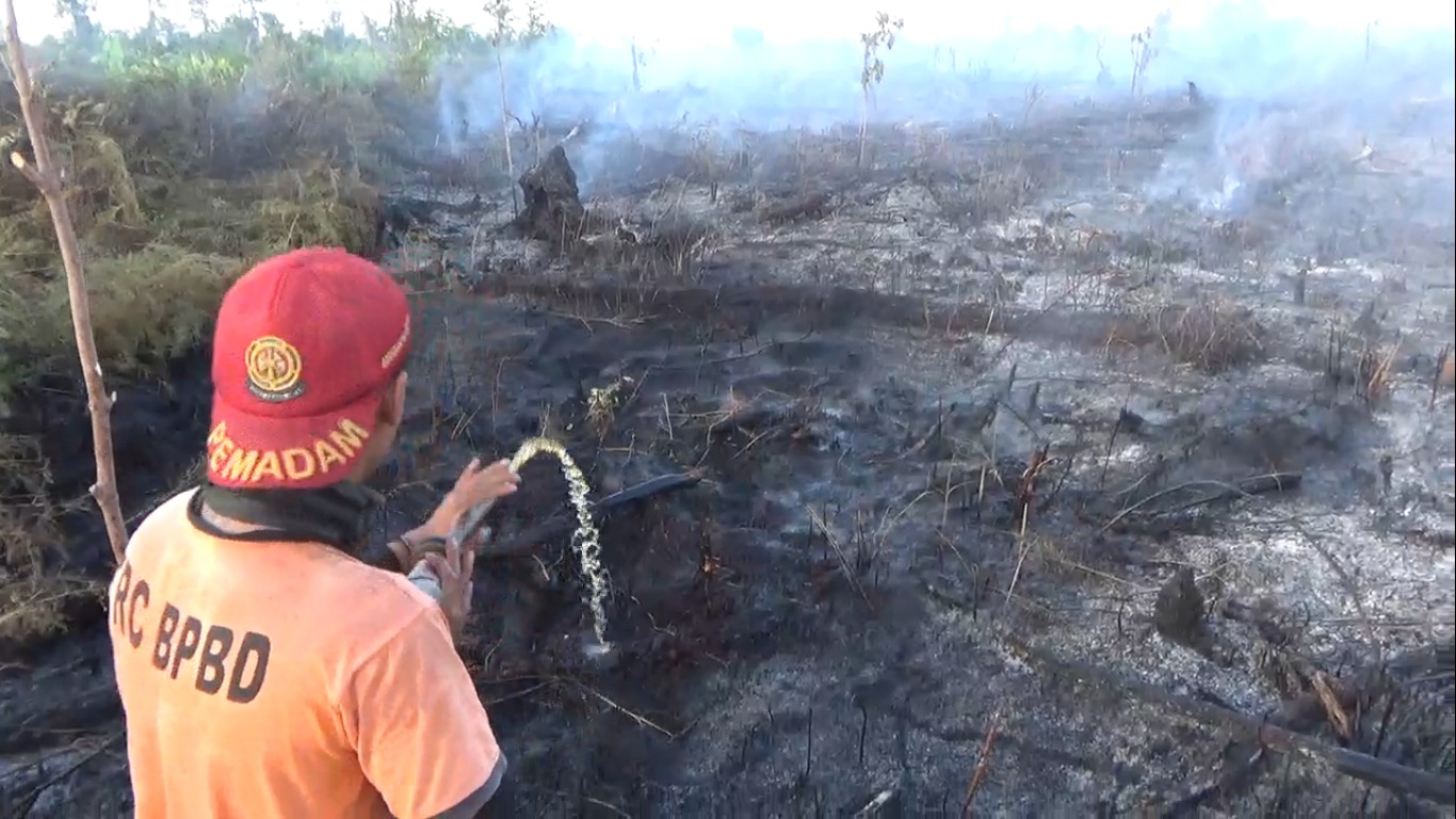 kebakaran gambut