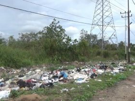 sampah di ketapang