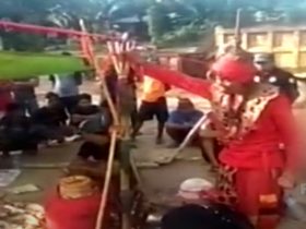 pemagaran perusahaan PT Darmex Agro