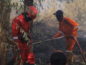 lahan terbakar di pontianak