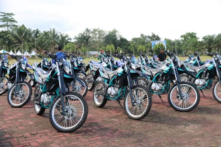 desa mandiri