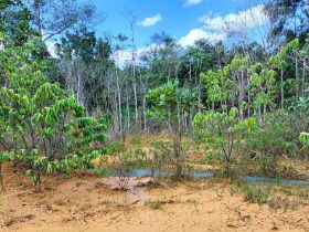 perusahaan bauksit di Sanggau