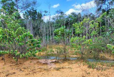 perusahaan bauksit di Sanggau