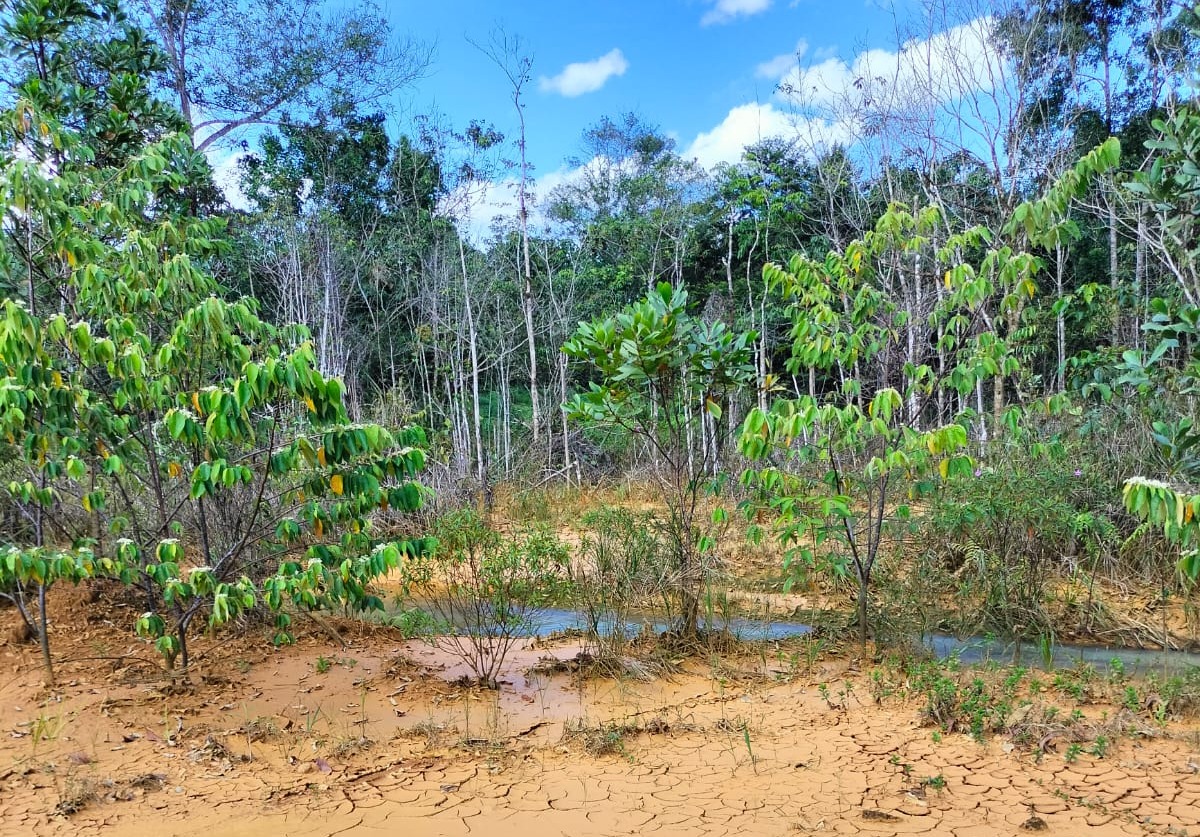 perusahaan bauksit di Sanggau