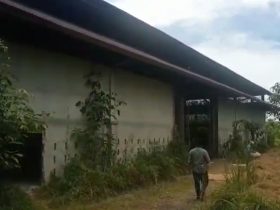 pabrik karet di desa