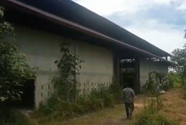 pabrik karet di desa