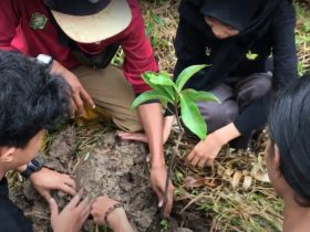 Desa Asri Nusantara