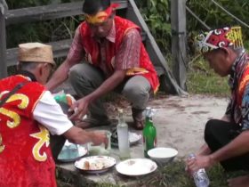 ritual adat dayak