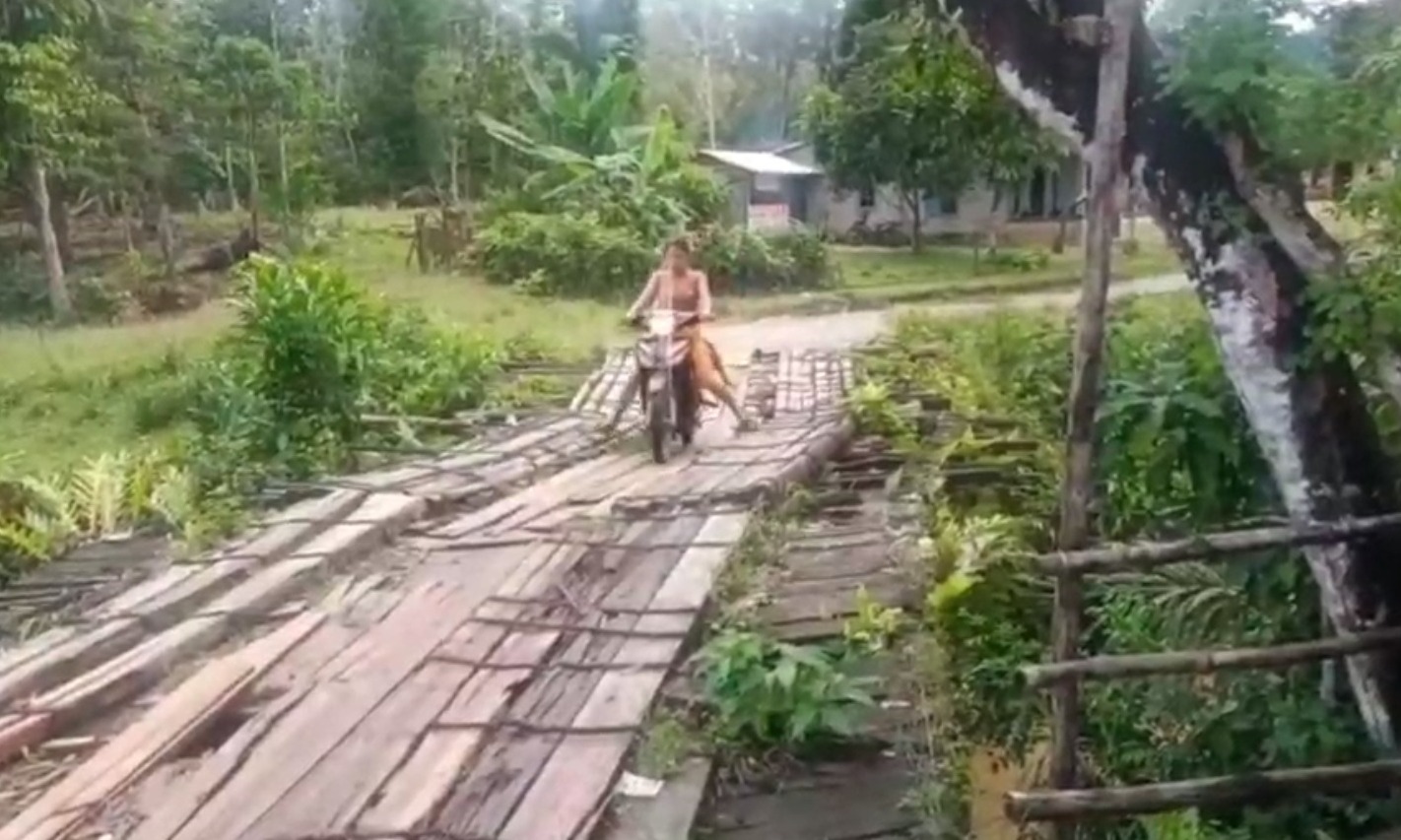 jembatan kayu