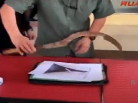 onar di jalanan pontianak - barang bukti celurit