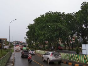 Pontianak Krisis Lahan