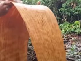 kain tradisional kalimantan