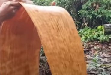 kain tradisional kalimantan