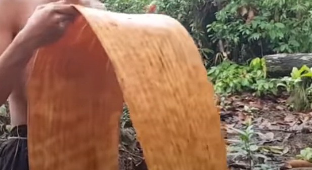 kain tradisional kalimantan