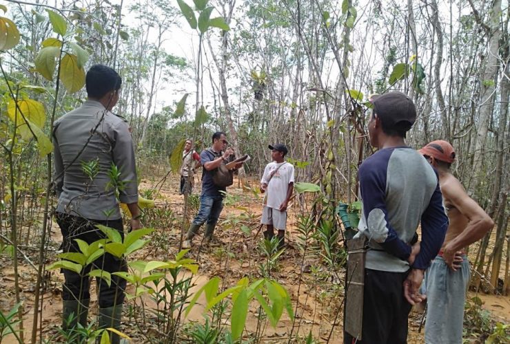 limbah tambang bauksit