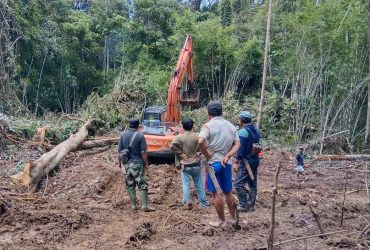 perusahaan sawit garap hutan adat