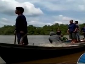 buaya terkam bocah