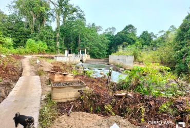 Sungai Tempunak Hulu