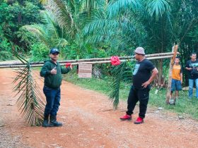 kasus pencurian sawit