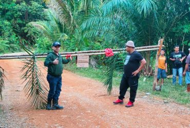 kasus pencurian sawit