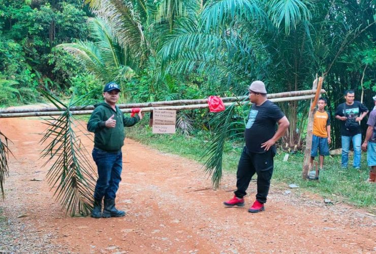 kasus pencurian sawit