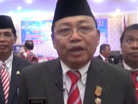 Midji-Karol - cornelis