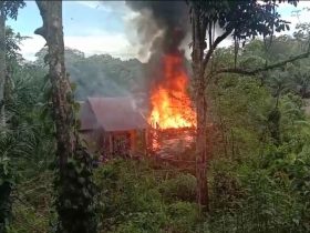 Rumah milik seorang warga Dusun Setabar, Desa Bebatung, Kecamatan Mandor, Kabupaten Landak terbakar di hari Pemilu 2024