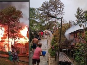 Aksi Warga Desa Buntut Purun, Kecamatan Ambalau, Kabupaten Sintang, Kalbar berusaha padamkan api (16/01/25)