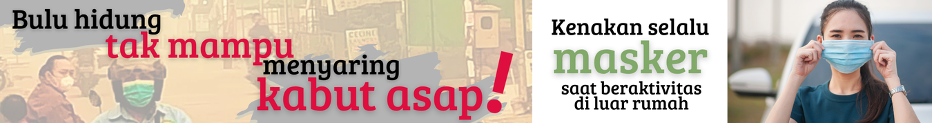 – Advertisement –